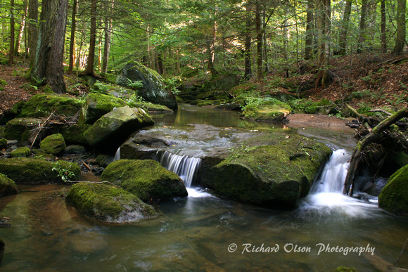 Brook Allegany State Park